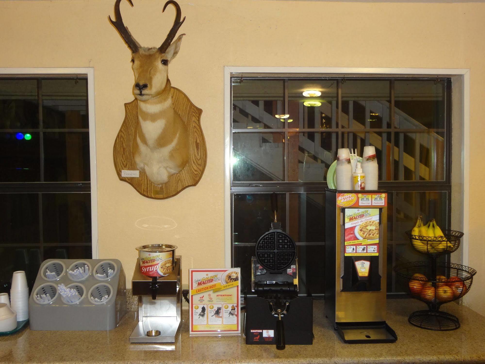 Antlers Hotel Goliad